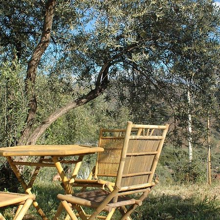 Jingtu Wellness & Spa B&B Comares Екстериор снимка